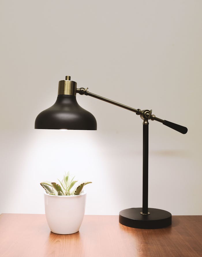 Services-02 Minimalistic desk lamp illuminating a succulent on a wooden table, perfect for interior design inspiration.